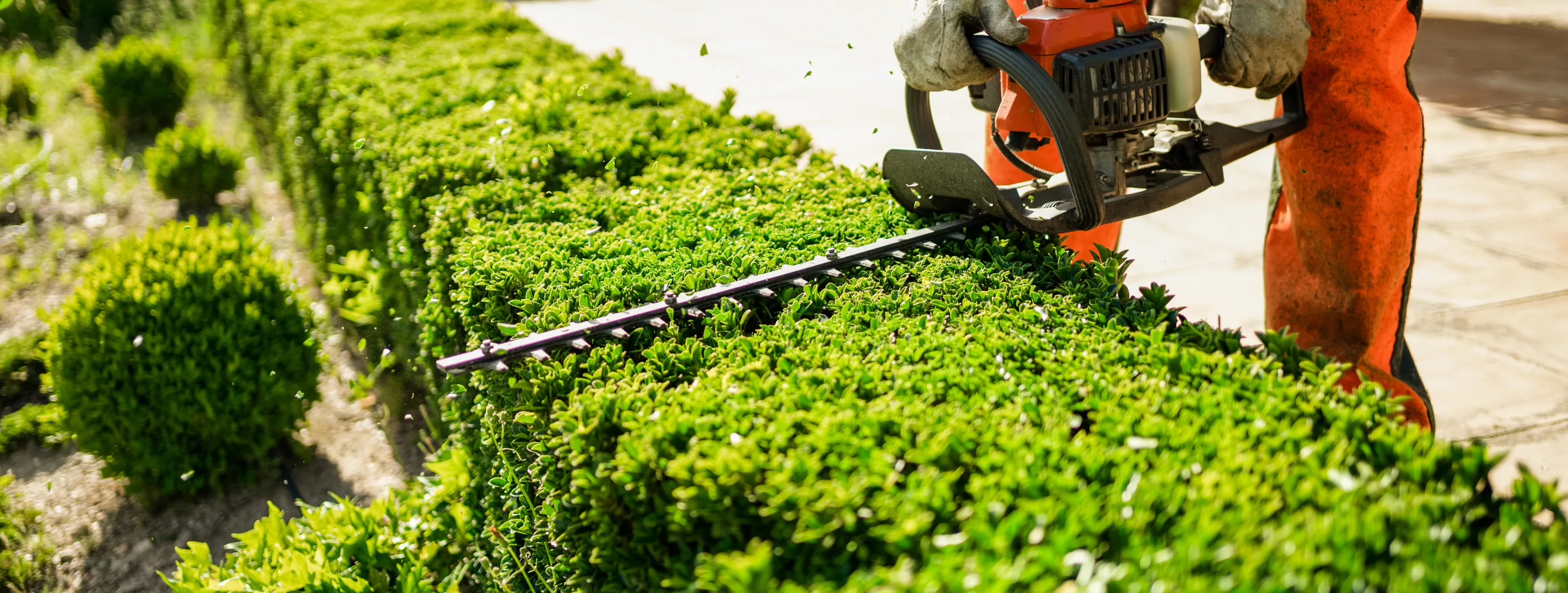 Vista Green landscaping professional working outdoors